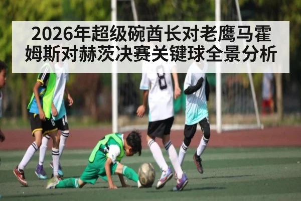 2026年超级碗酋长对老鹰马霍姆斯对赫茨决赛关键球全景分析（kaiyun）